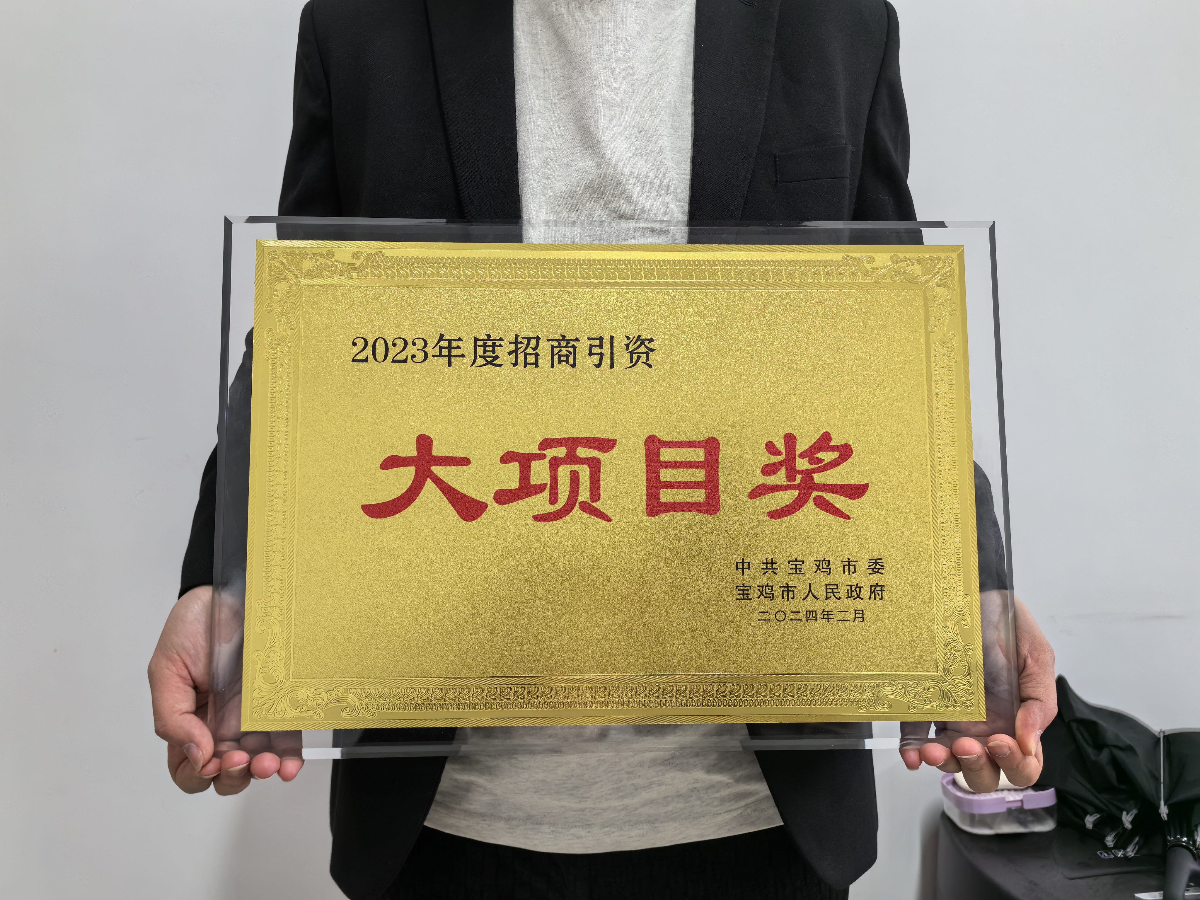 关于获奖的四个大项目