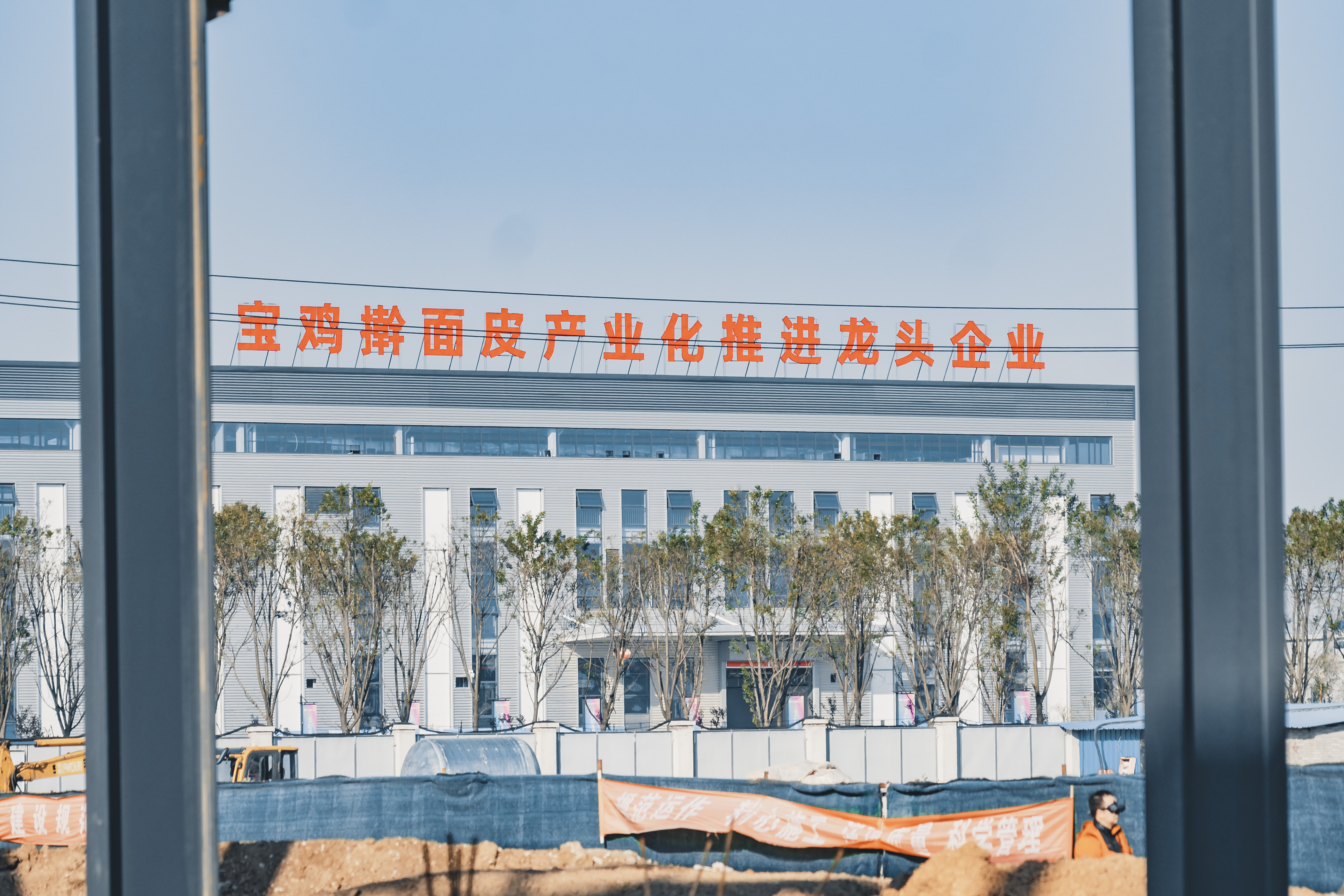 甲辰龙年特别篇（一）——“龙企”聚首产业兴