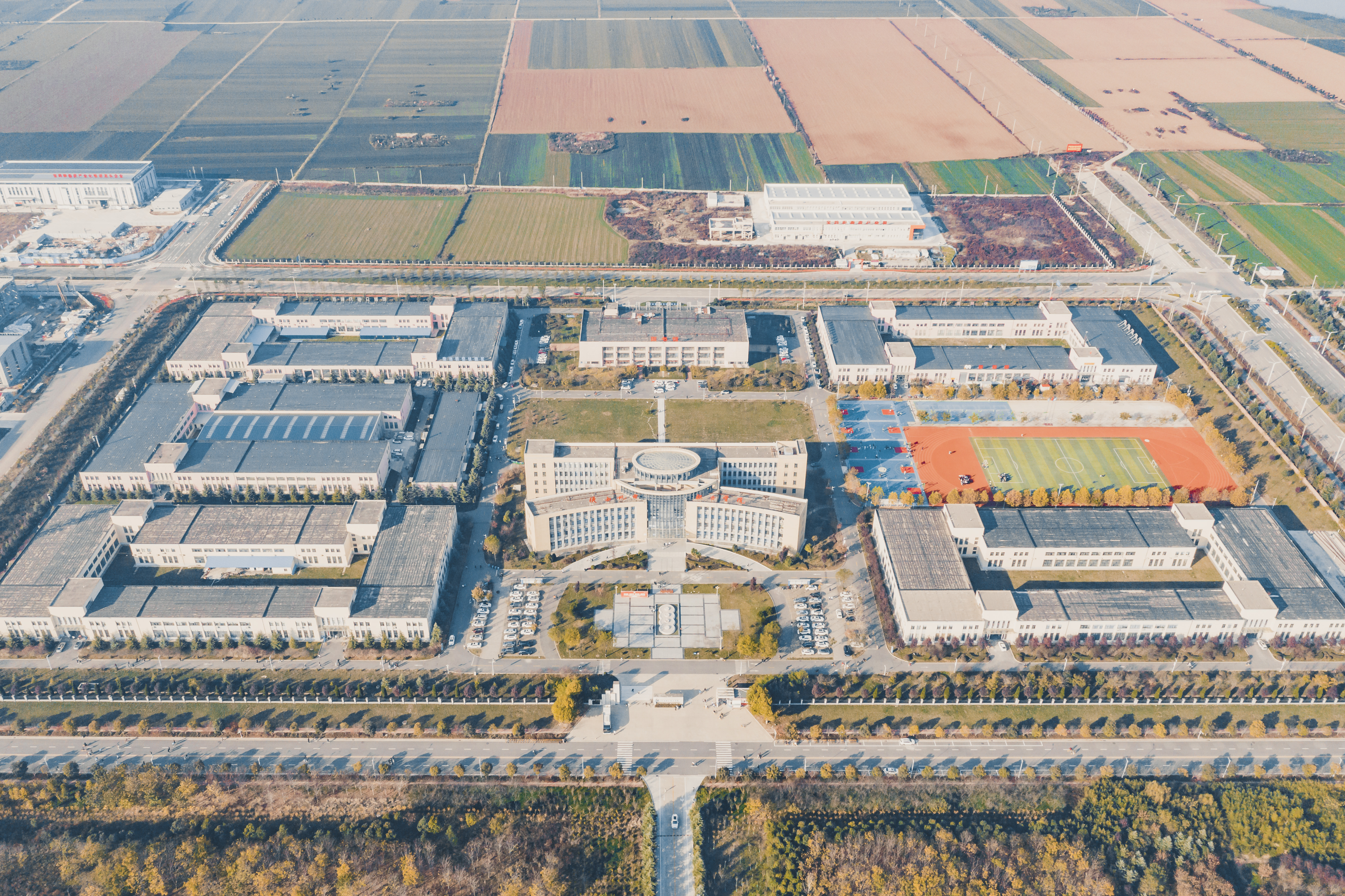 十年蝶变——产业强劲攀升