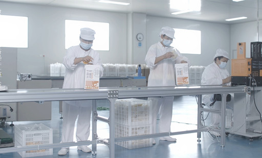 “后起之秀”成长记——宝鸡方硕擀面皮产业园项目发展纪实