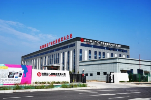 【行业龙头蝶变记】——杂八得日产三十万套宝鸡擀面皮项目发展小记