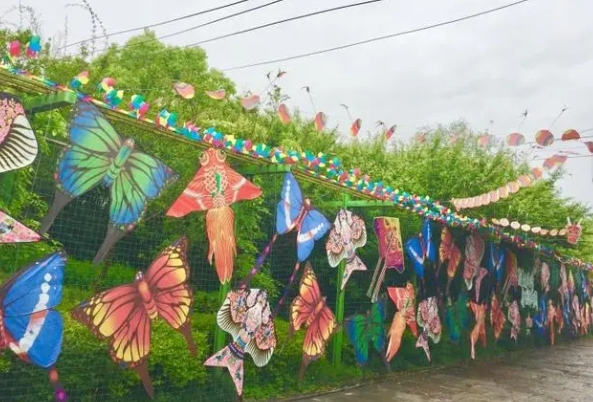 【2024宝鸡蟠龙高新区首届风筝节】风舞蟠龙·筝高向新，邀您共赴春日风筝盛宴！