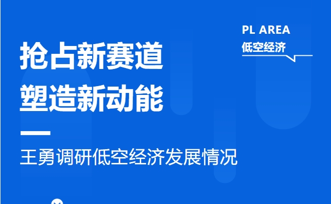 抢占新赛道 塑造新动能——王勇调研低空经济发展情况