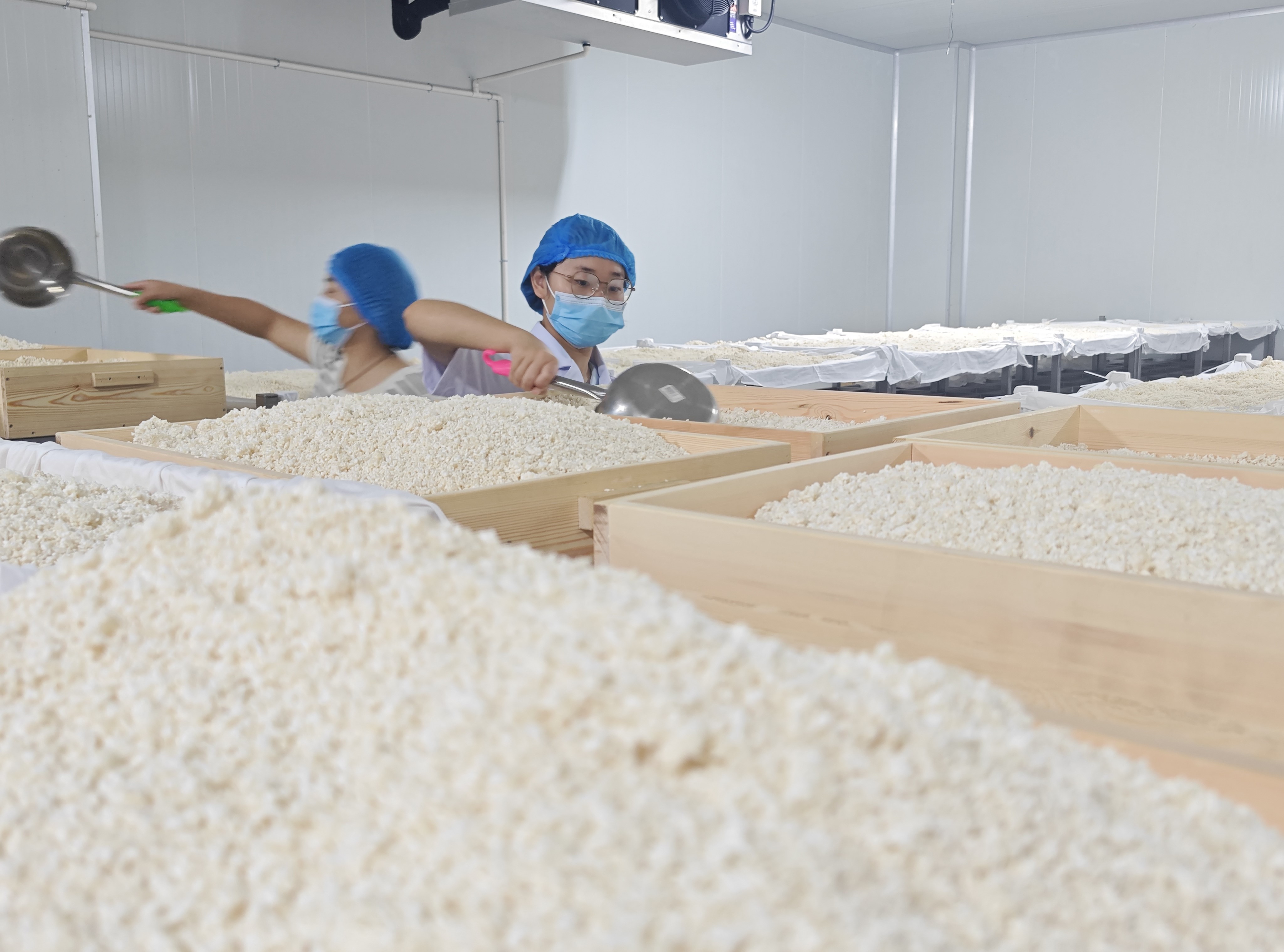 宝鸡智造！我国首条清酒全产业链智能化生产线顺利出酒