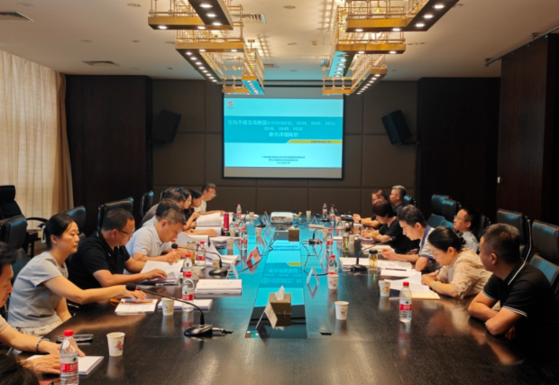 宝鸡蟠龙高新区国土空间控制性详细规划顺利通过专家评审