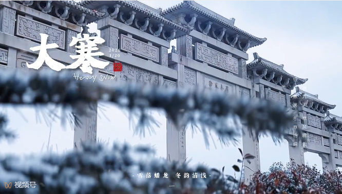 雪落蟠龙 冬韵清浅——【今日大寒】