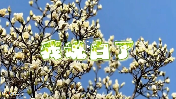 关于蟠龙高新区的春天我说白了…