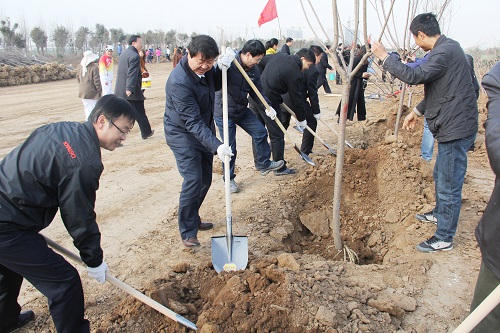 大手笔造绿绘景 新区今年绽新颜