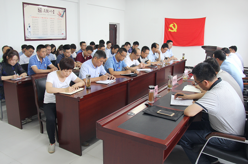 蟠龙新区党工委开展纪念建党97周年主题党日活动